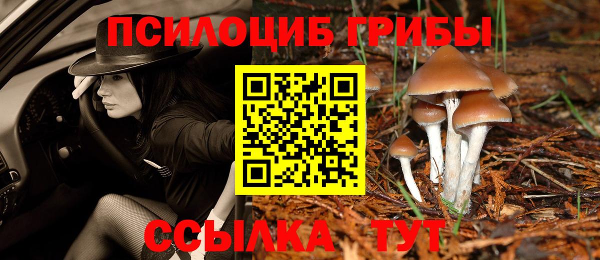 Галлюциногенные грибы ЛСД  Галлюциногенные грибы мухоморы  Вход с VPN  Вязьма 